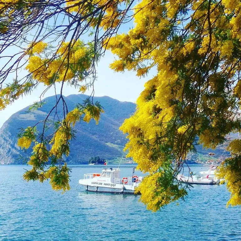 Beach & Waterfront