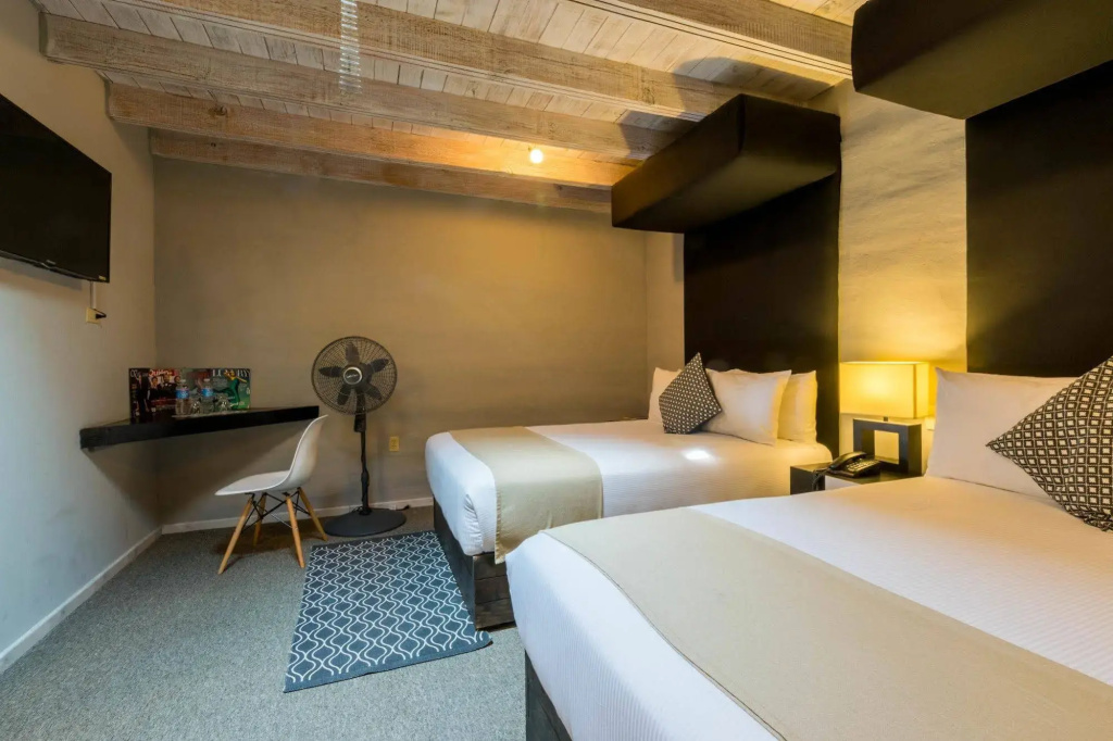 Hotel Damiana Boutique - Général