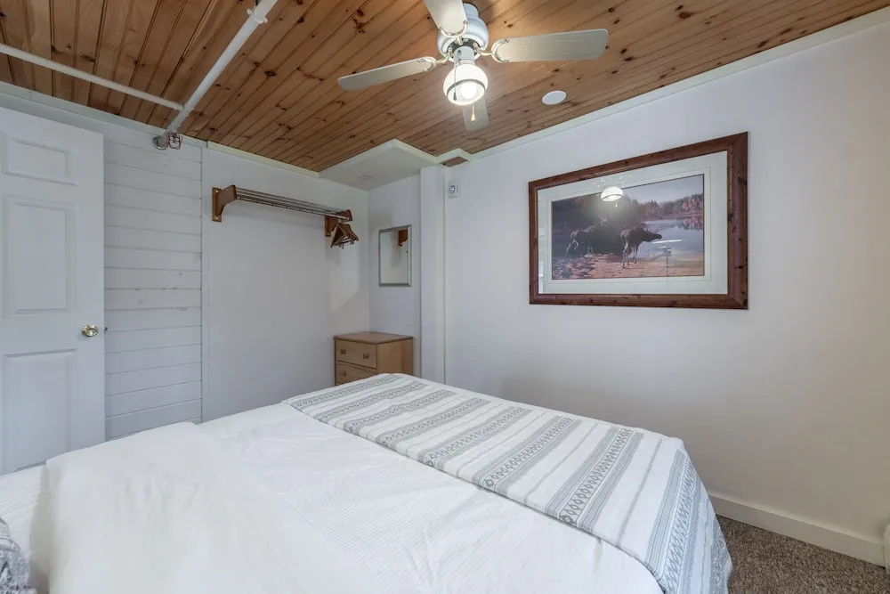 Comfort Suite