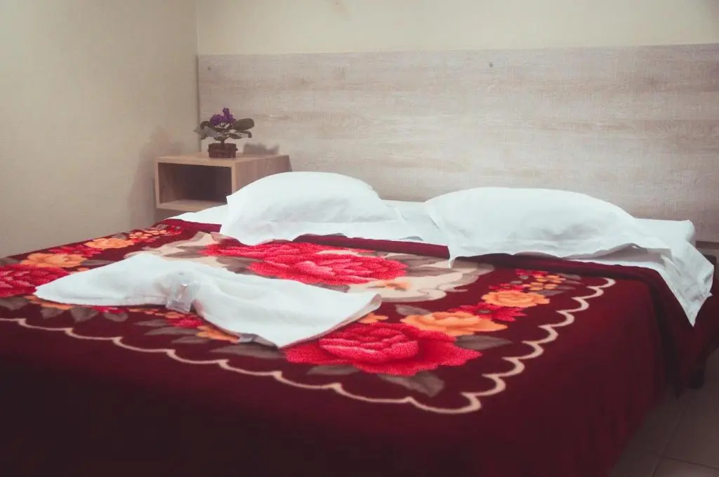 Marechal Plaza Hotel - Chambres