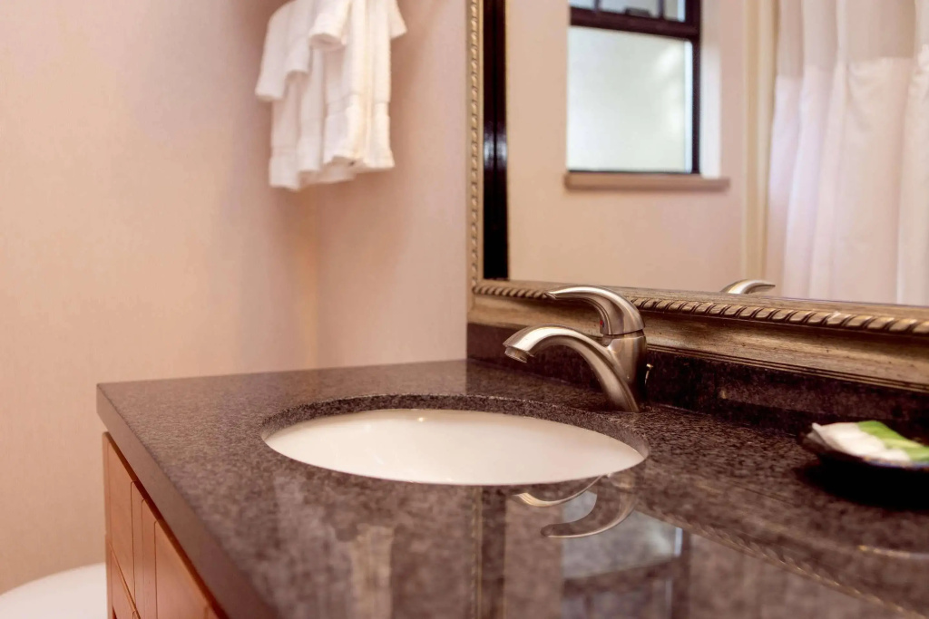 Best Western Plus Coquitlam Inn Convention Centre - Général