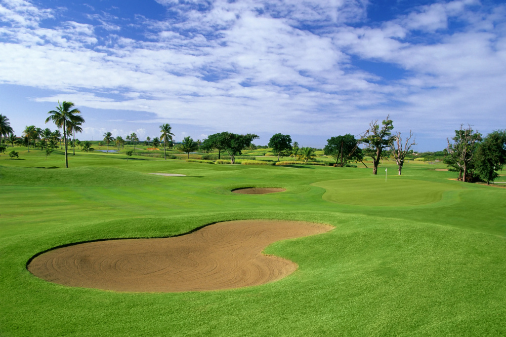 Hilton Ponce Golf & Casino Resort - Général