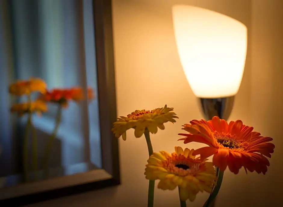 Hotel Boltzmann - Chambres