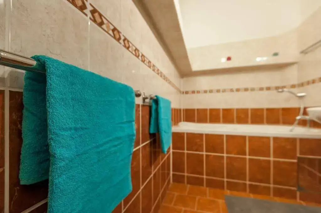 Hotel photo 10