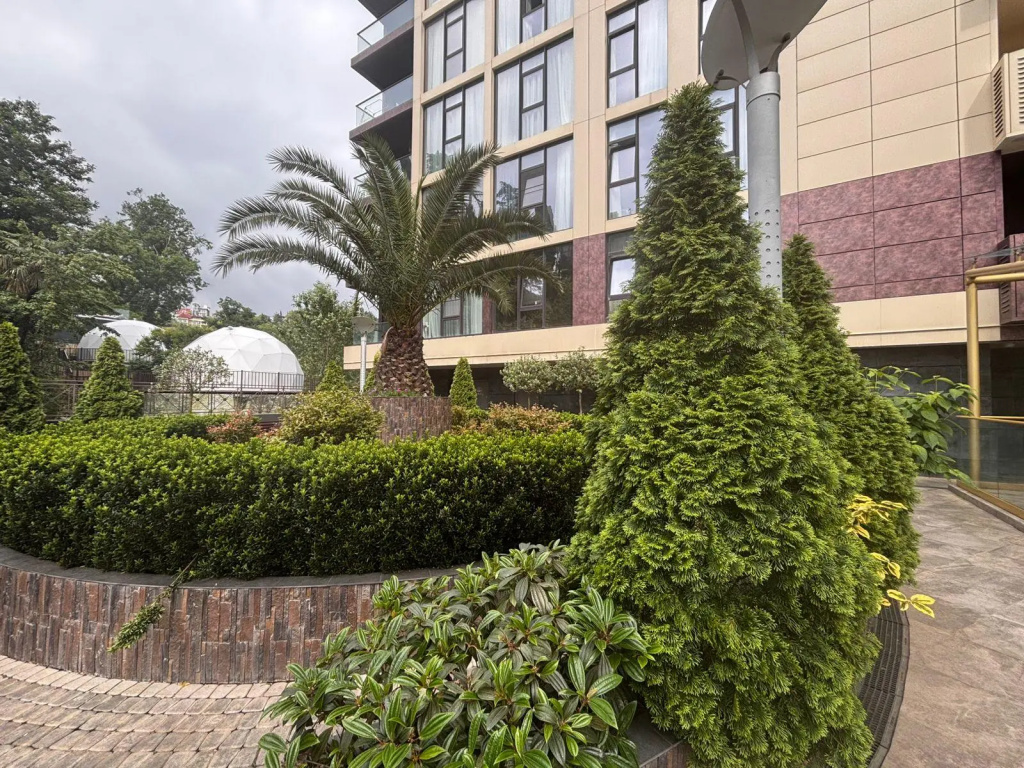 Hotel photo 8