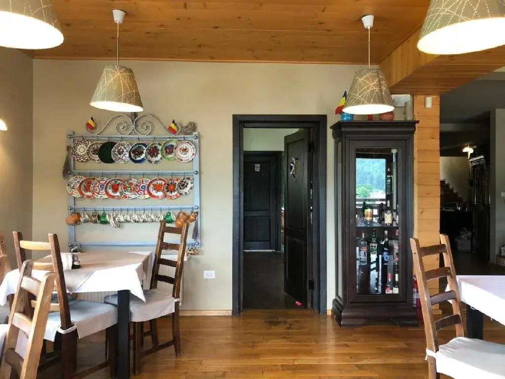 Bucovina Lodge Pension - Général