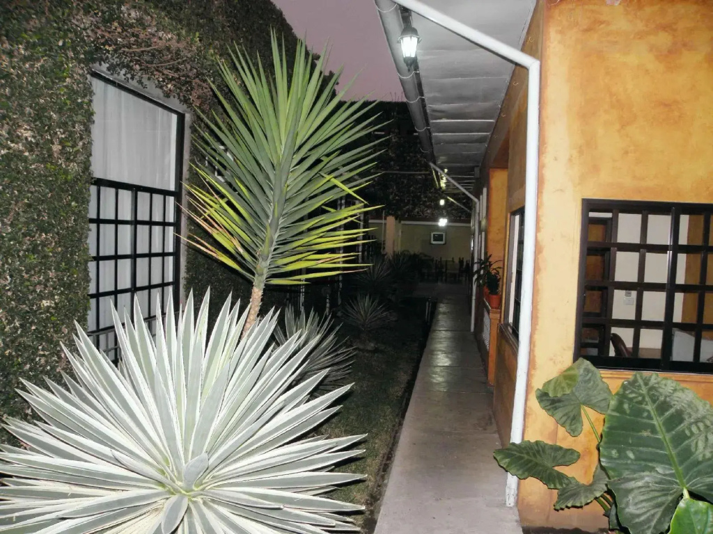 Hotel photo 16