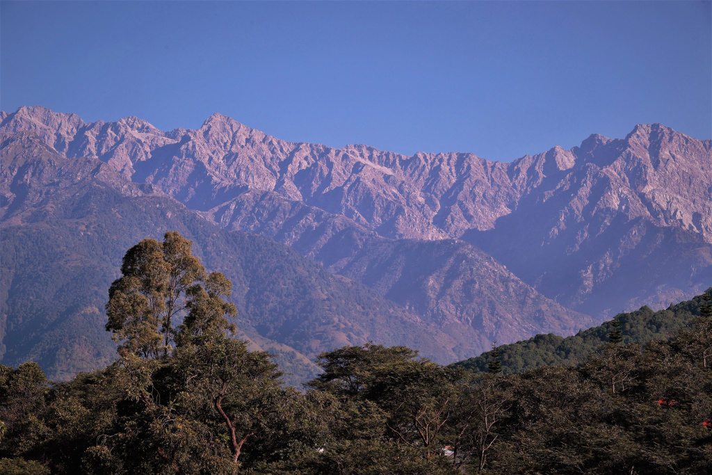 Lamrin Norwood Green Palampur - Général