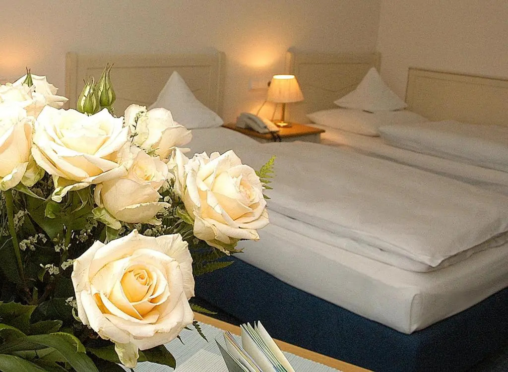 Comfort Double room (full double bed)