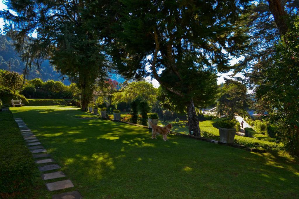 Brockenhurst Bungalow