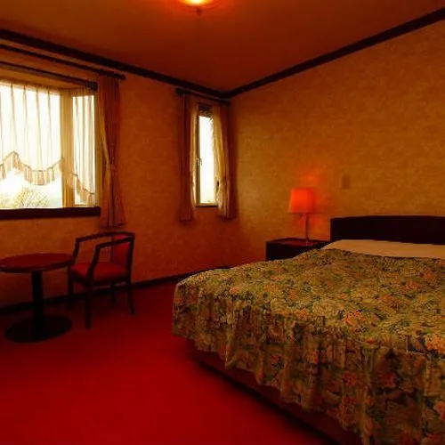 Standard Double room with ocean view (full double bed)