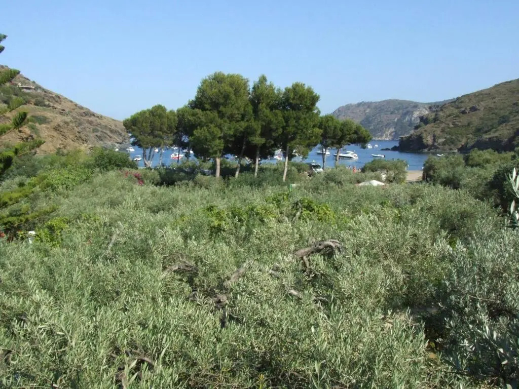 Standard Double room with sea view (full double bed)