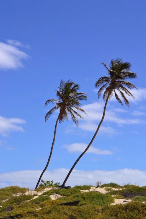 Beach & Waterfront