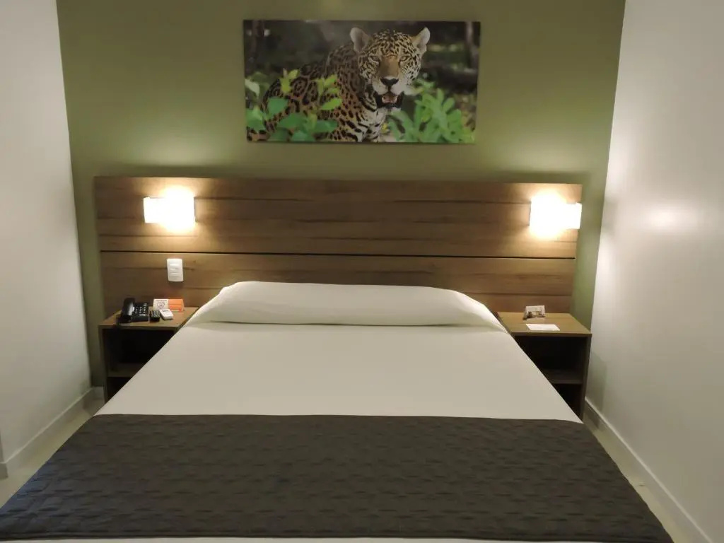 Superior Double room (full double bed)
