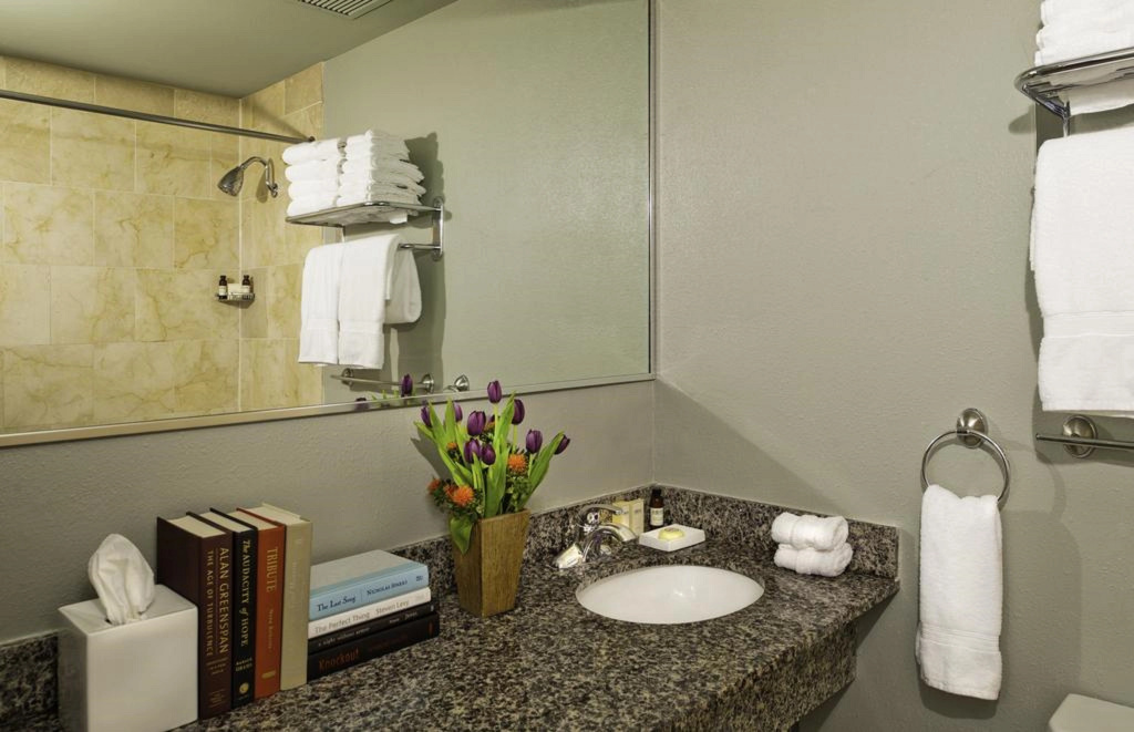 Holiday Inn Express New Orleans - St Charles (ex Modern Hotel) - Général