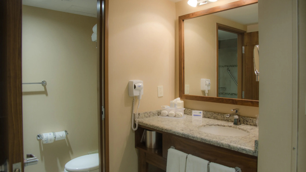 Holiday Inn Express & Suites Celaya by IHG - Général