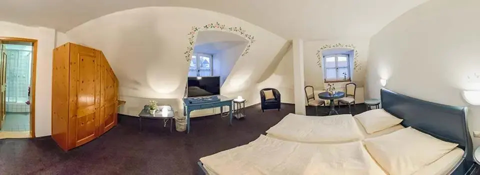 Standard Double room (full double bed)