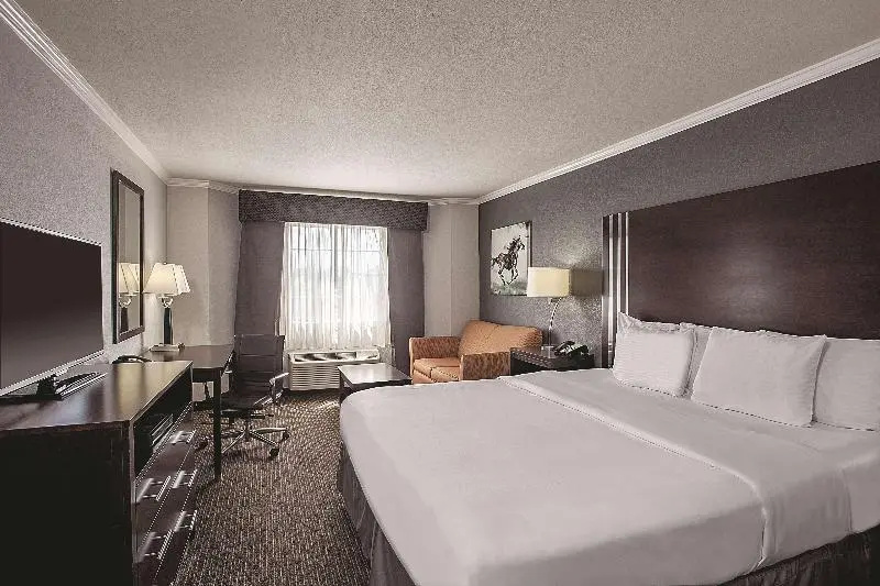Deluxe Suite with view
