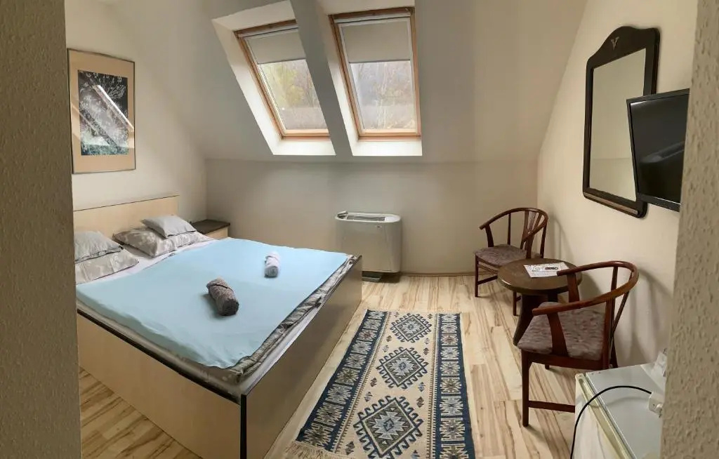 Standard Double room with mountain view (full double bed)