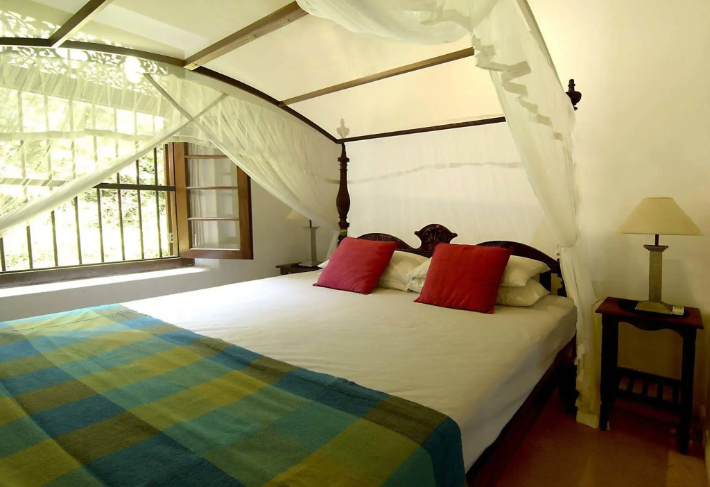 Coconut Grove - фото 3