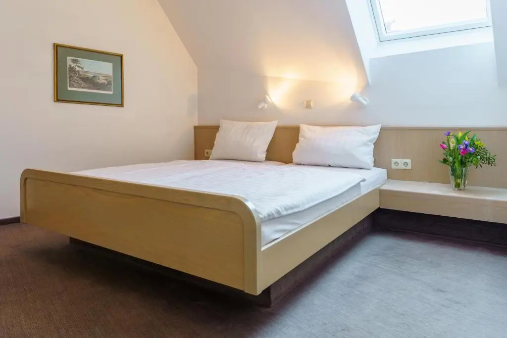 Standard Double room (full double bed)