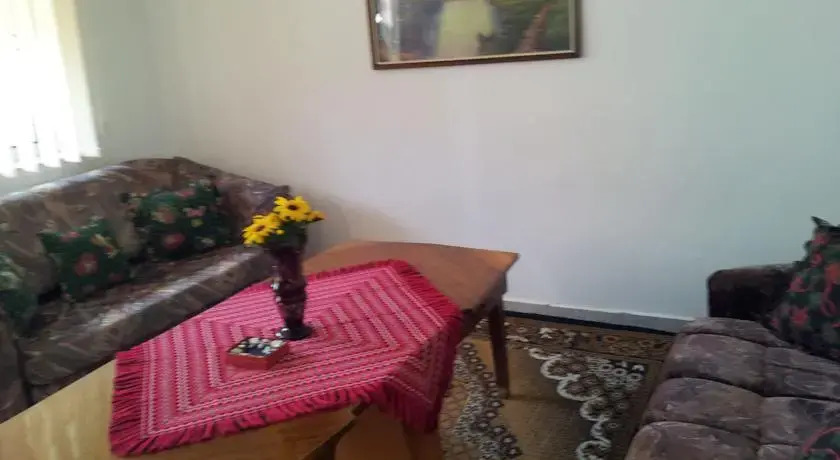 Pensiunea Zamora - фото 4