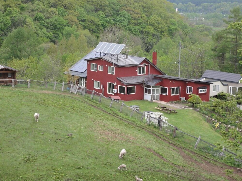Image 15