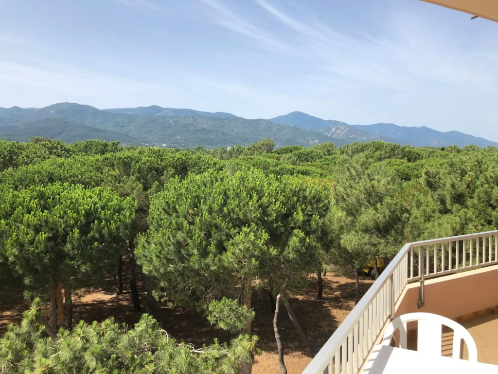 Hôtel Plage des Pins - Général