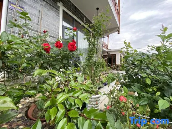 Zhulin Youju Hostel