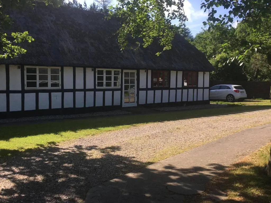 Dancamps Trelde Næs