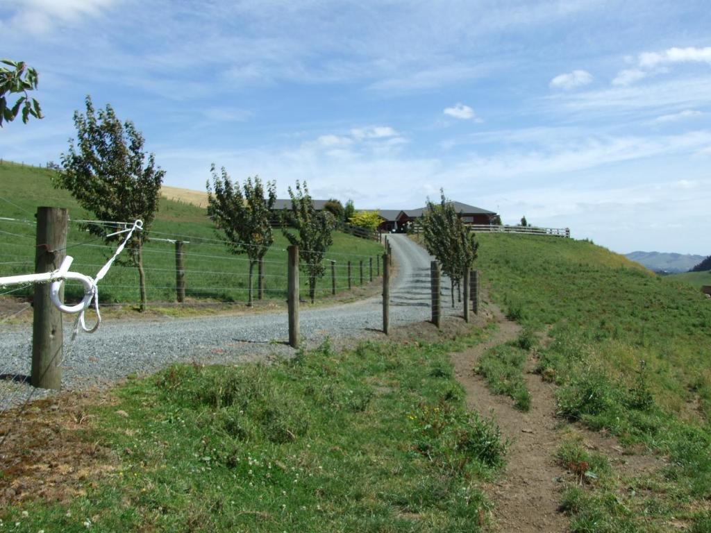 Image 6