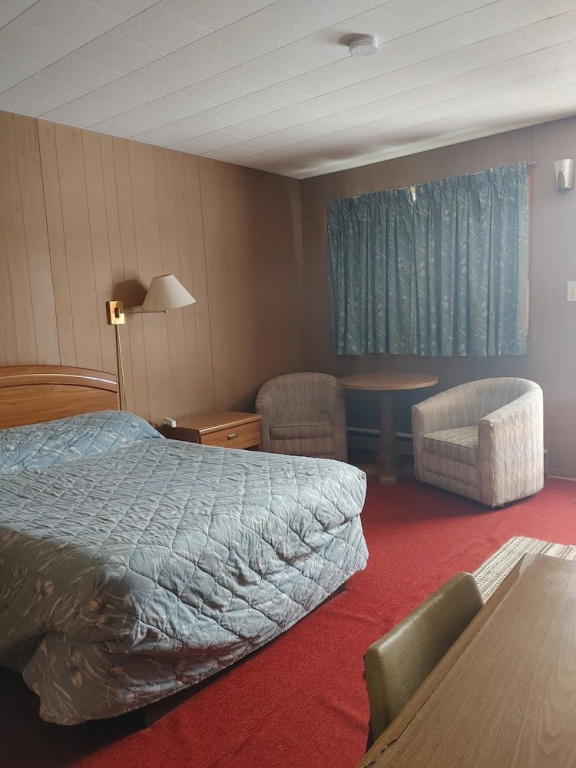 Standard Double Basement room with mountain view (full double bed)