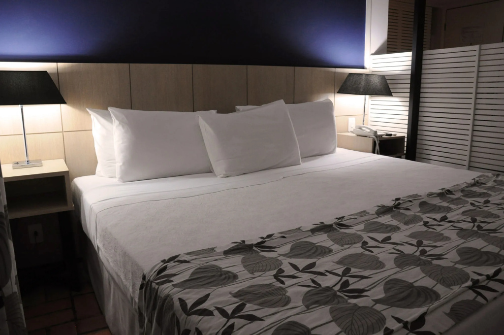 Ferraretto Guarujá Hotel & Spa - Général