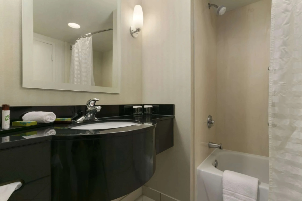 Embassy Suites by Hilton Dulles North Loudoun - Général