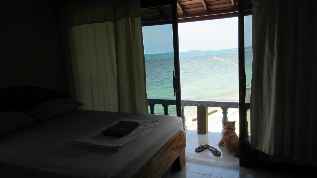 Balcony & Terrace
