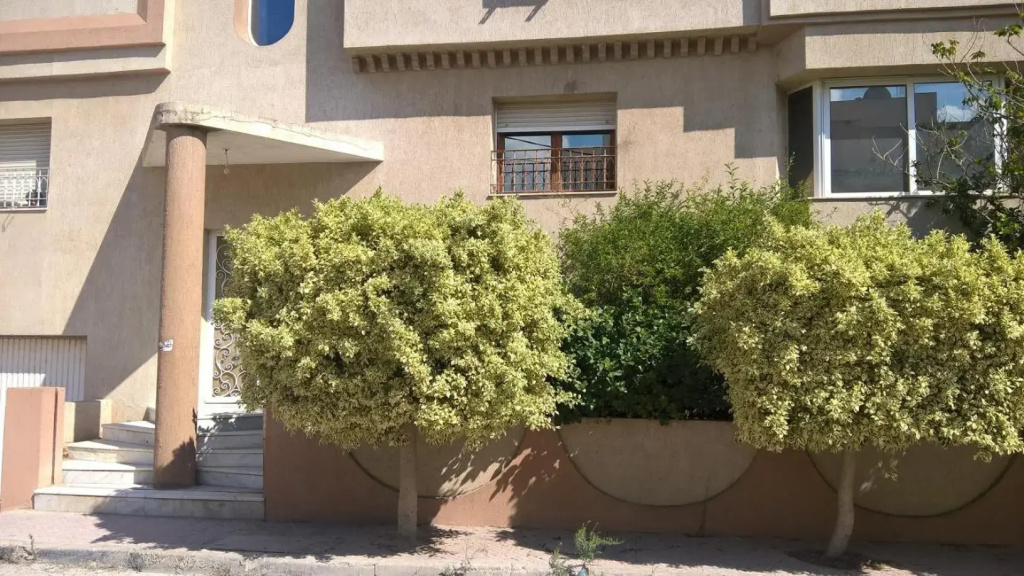 Appartement Ain Zaghouan