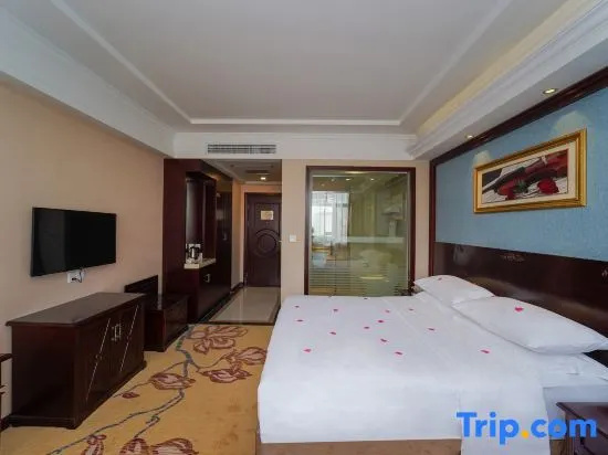 Vienna Hotel Shanghai Puong Jinqiao Park - Chambres