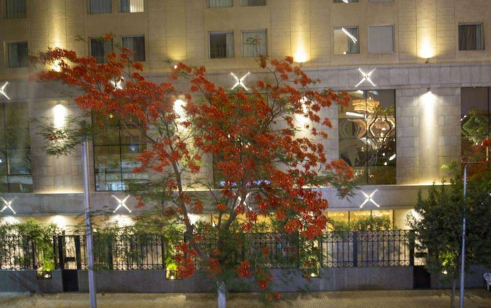 Hotel photo 28