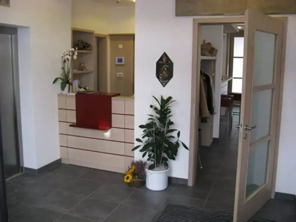 Lobby & Reception