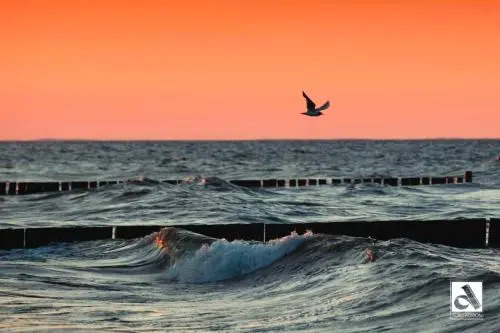 Villa Maria Wohnung 01 - фото 3