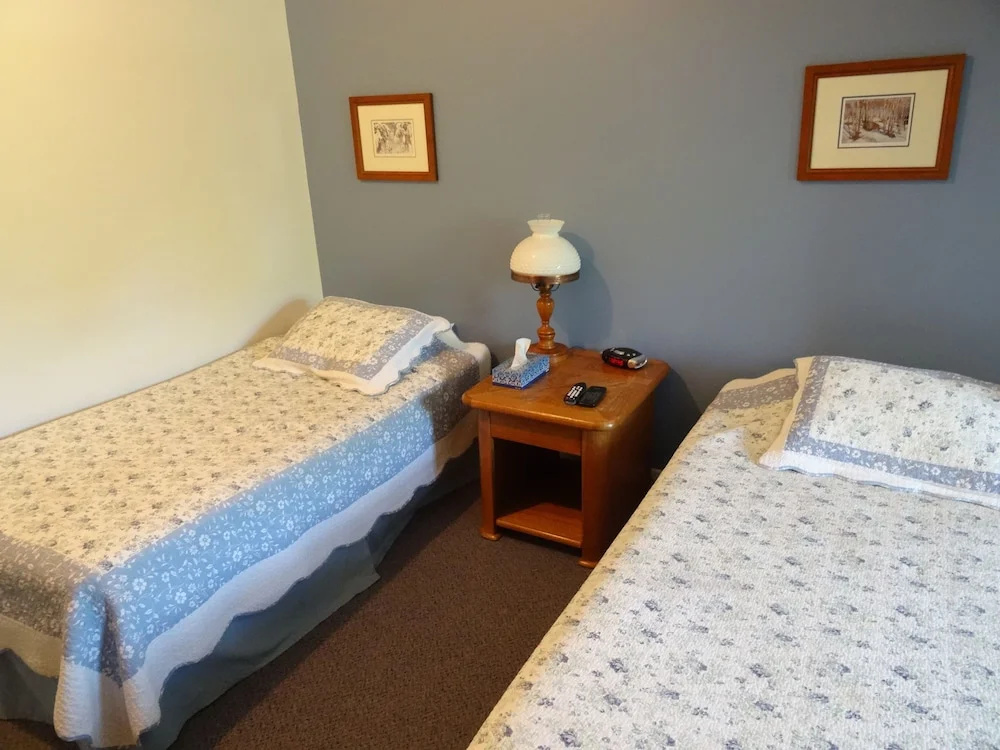 Comfort Double room (twin beds)