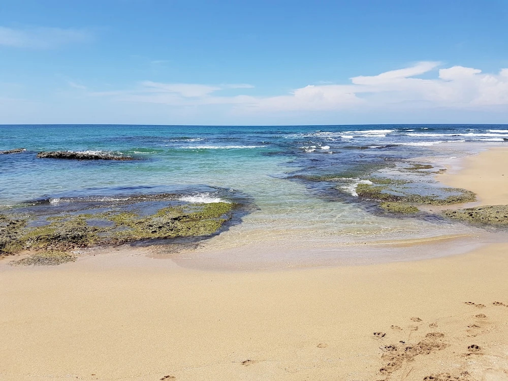 Beach & Waterfront