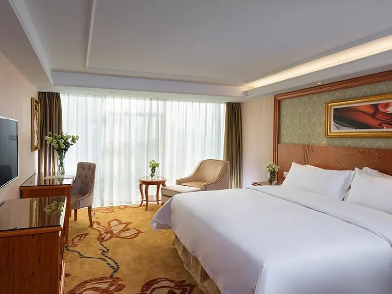 Vienna Hotel Mix City - Général