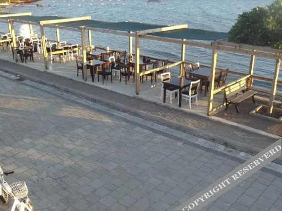 Beach & Waterfront