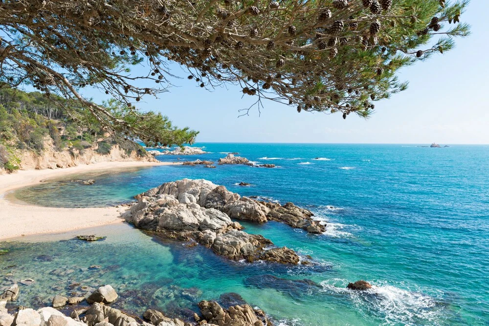 Beach & Waterfront