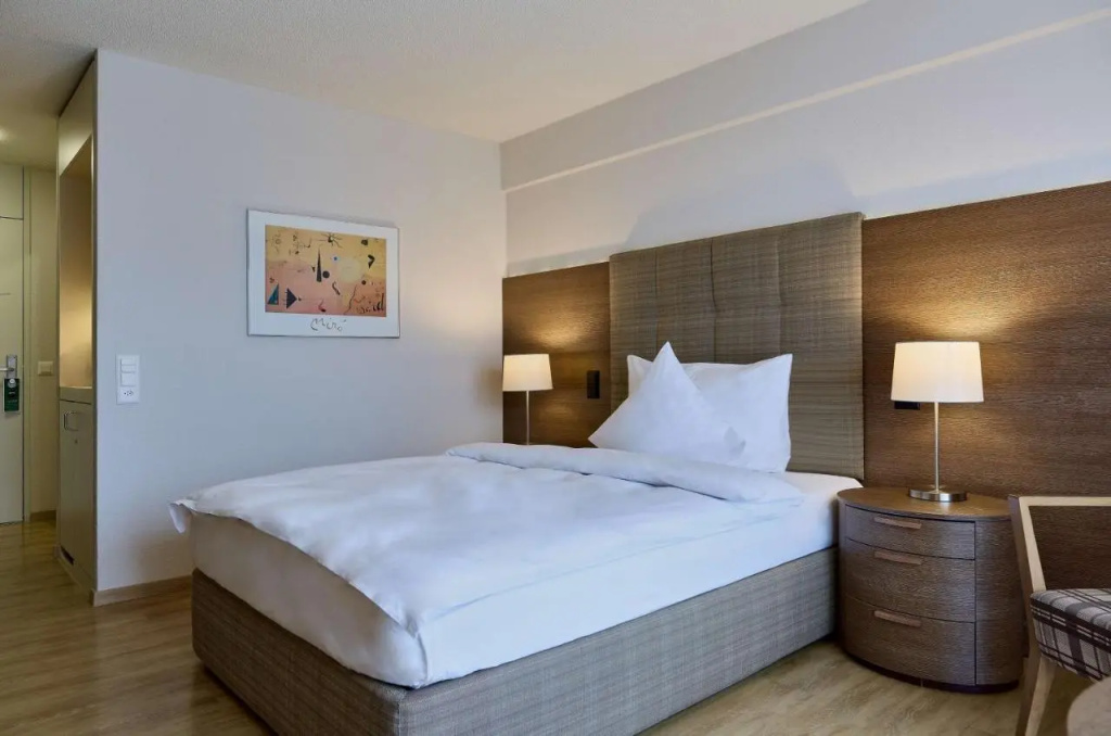Dorint Parkhotel Bad Zurzach - Général