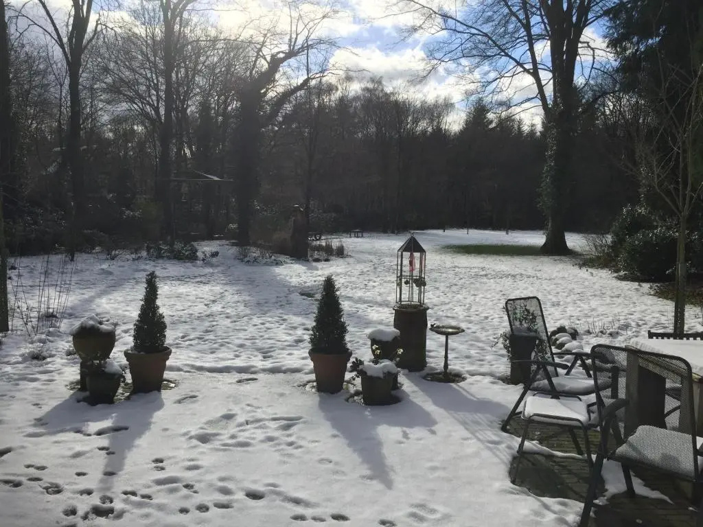 Cottage