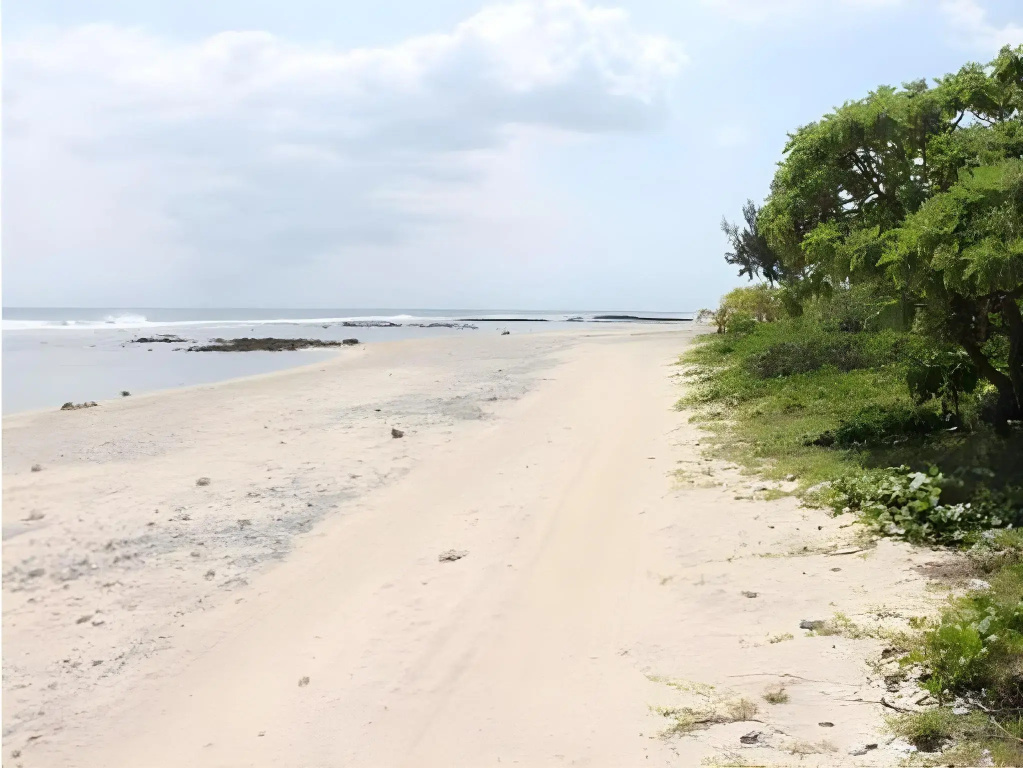 Alofa Beach Bungalows - Général