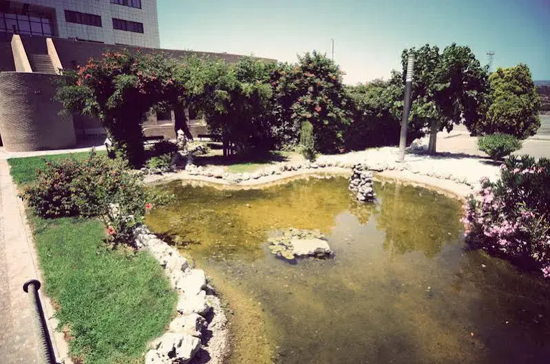 Hotel photo 36