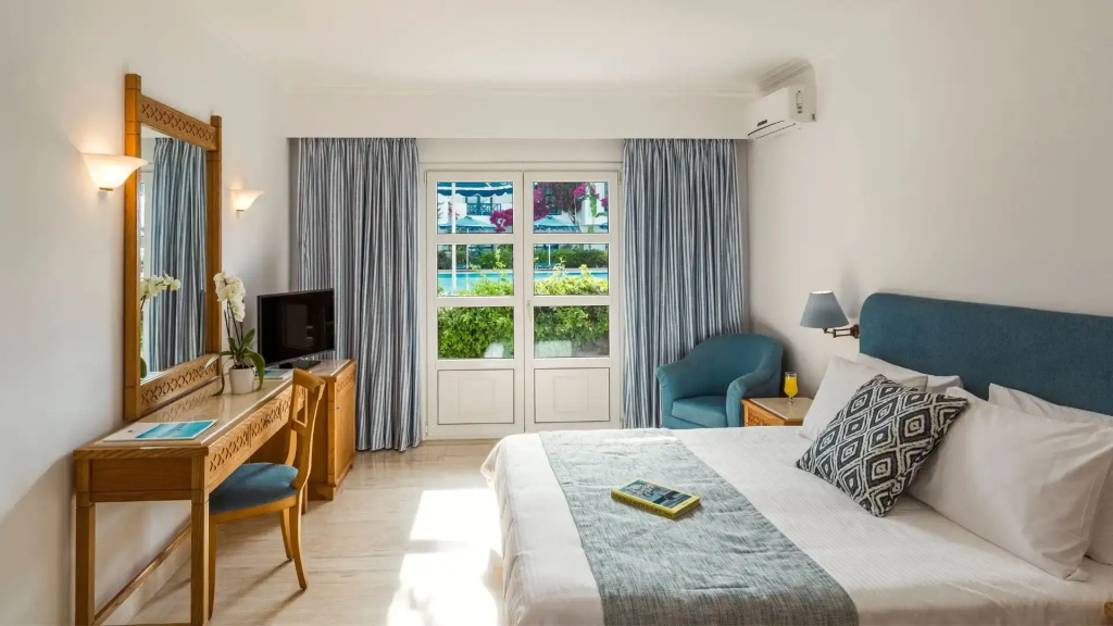 Double room with pool view (full double bed)